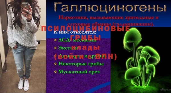 дживик Баксан