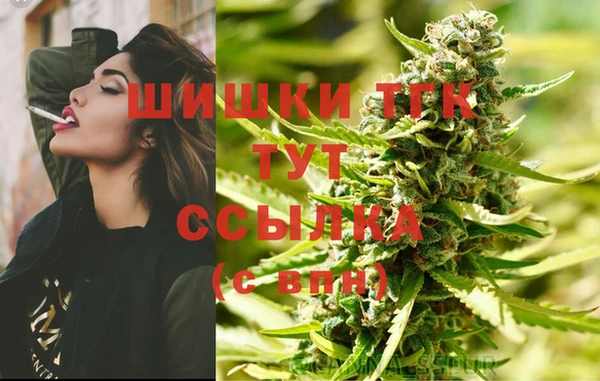 дживик Баксан