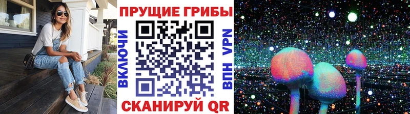 Псилоцибиновые грибы мухоморы  Мезень 