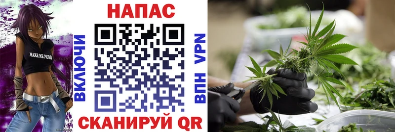 Шишки марихуана план  даркнет сайт  omg зеркало  Мезень 